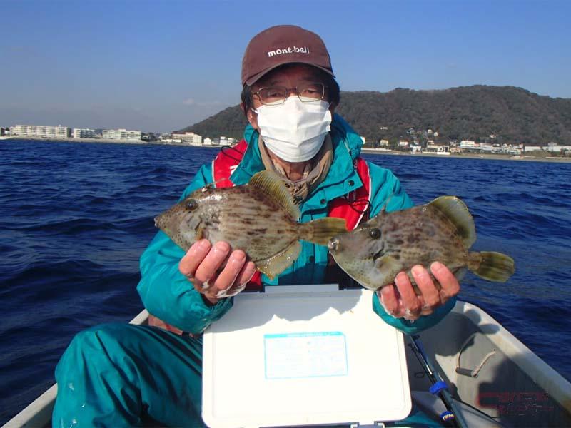 気軽にボートフィッシング カワハギの好ポイント 長者ヶ崎海岸 神奈川県
