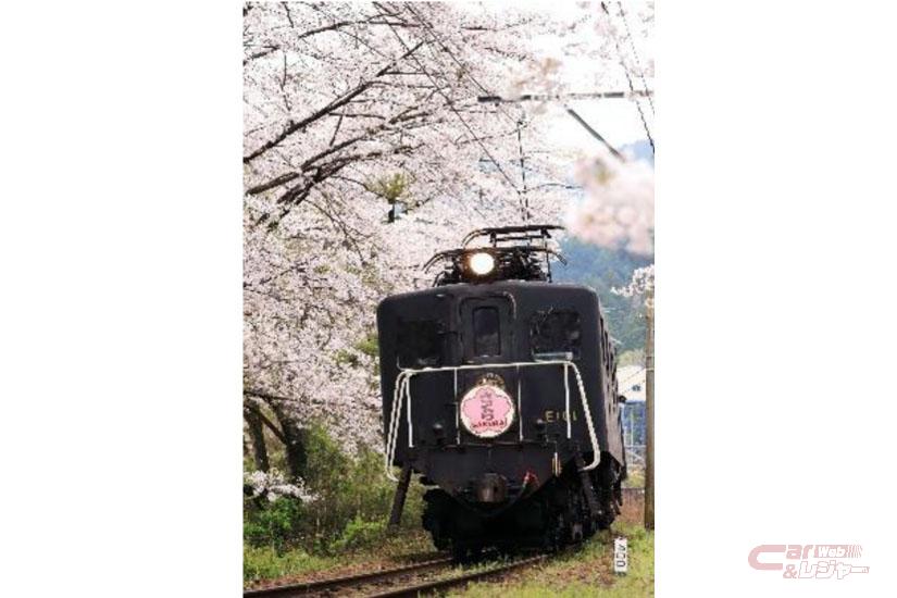 大井川鐵道 お花見列車 お団子セットプランを発売 大井川鐵道 お花見列車 お団子セットプランを発売