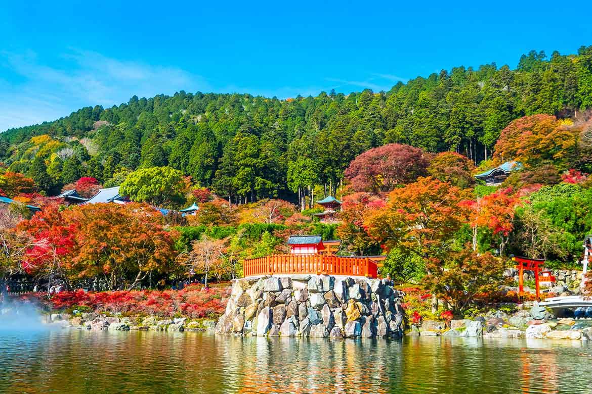 大阪府箕面市を巡る秋旅。日帰りドライブで五感を刺激する大人の休日 -